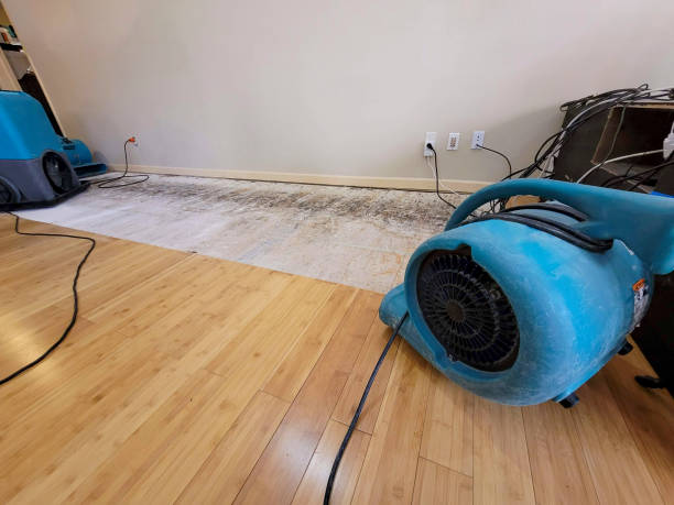 Professional Flood Damage Cleanup technician working in Milton, FL